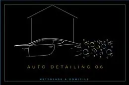 Auto Detailing 06
